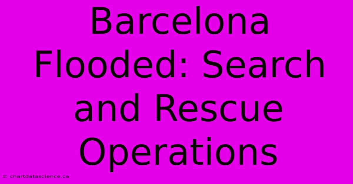 Barcelona Flooded: Search And Rescue Operations 