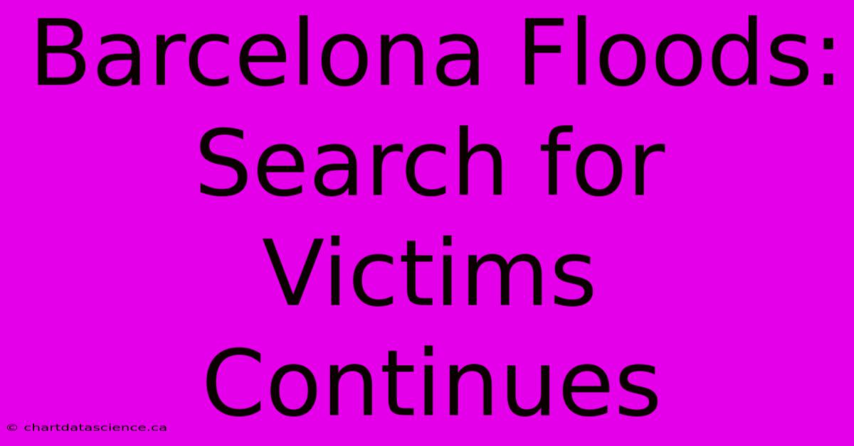 Barcelona Floods: Search For Victims Continues