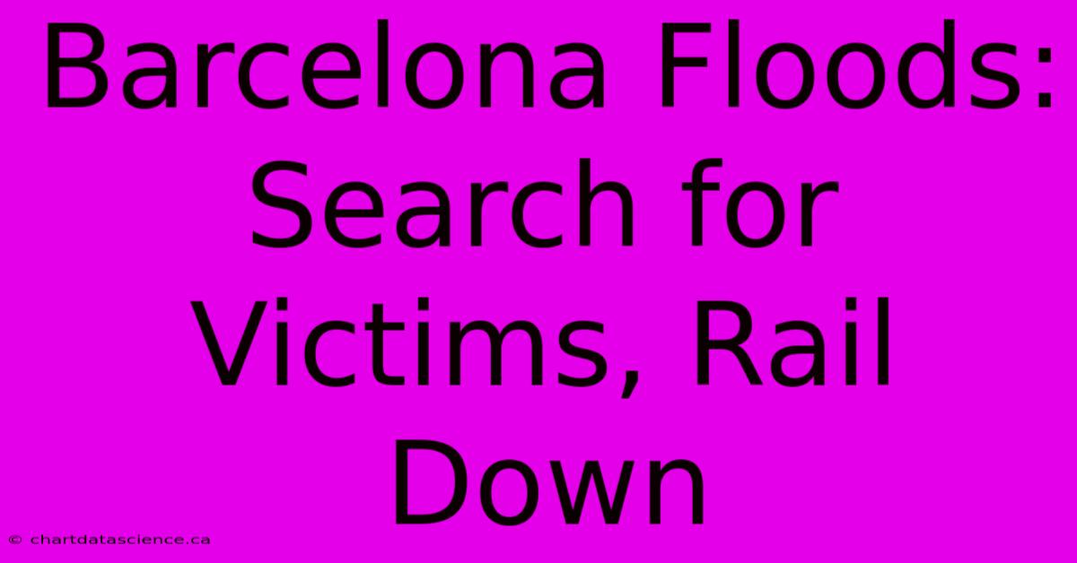 Barcelona Floods: Search For Victims, Rail Down 