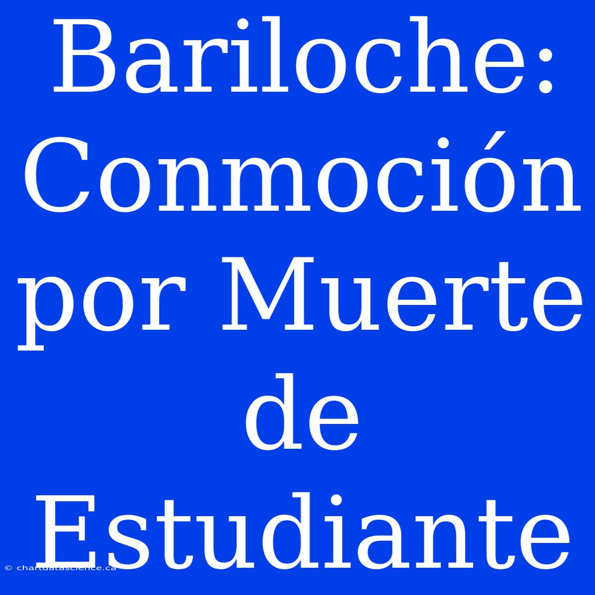 Bariloche: Conmoción Por Muerte De Estudiante