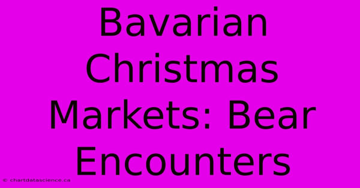 Bavarian Christmas Markets: Bear Encounters