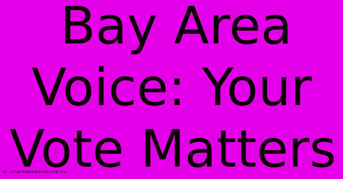 Bay Area Voice: Your Vote Matters