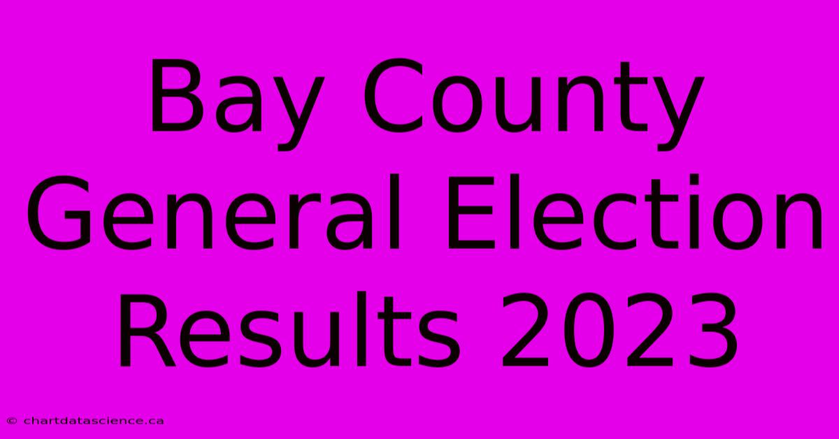 Bay County General Election Results 2023