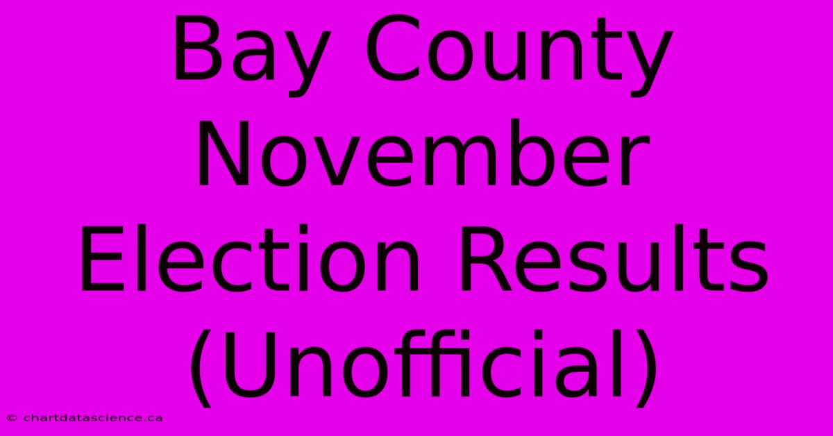 Bay County November Election Results (Unofficial)