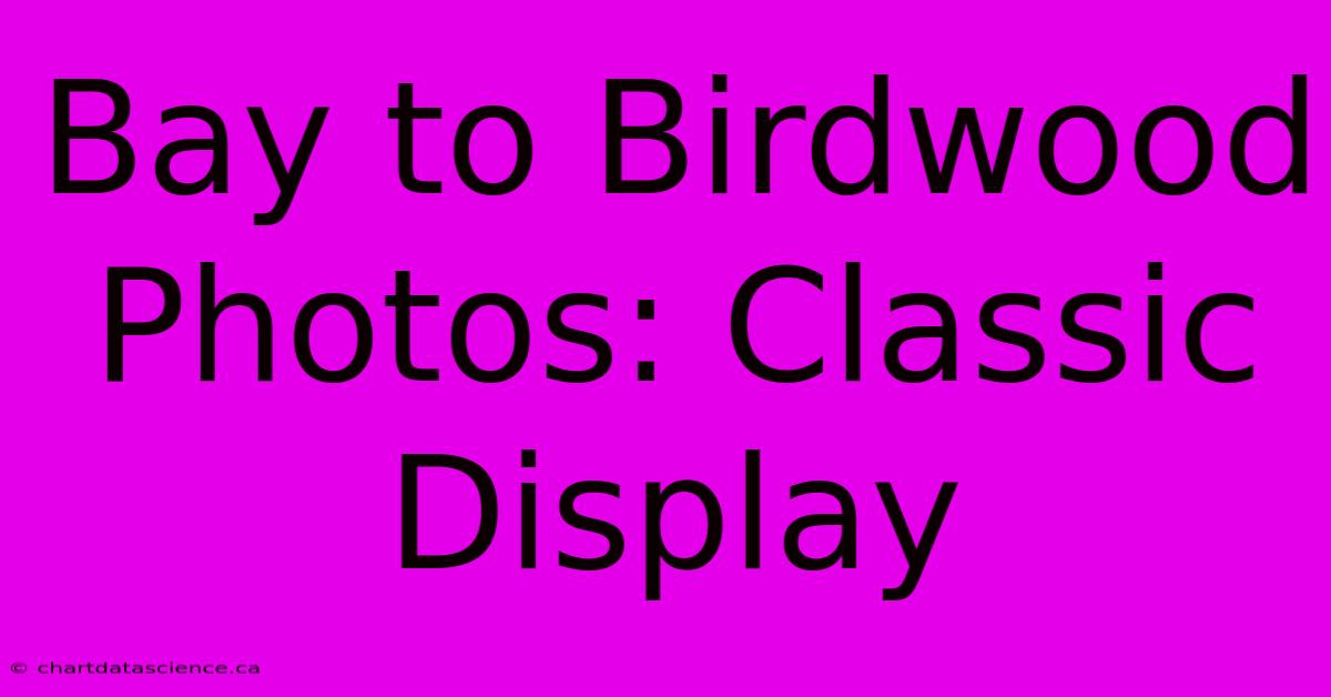 Bay To Birdwood Photos: Classic Display