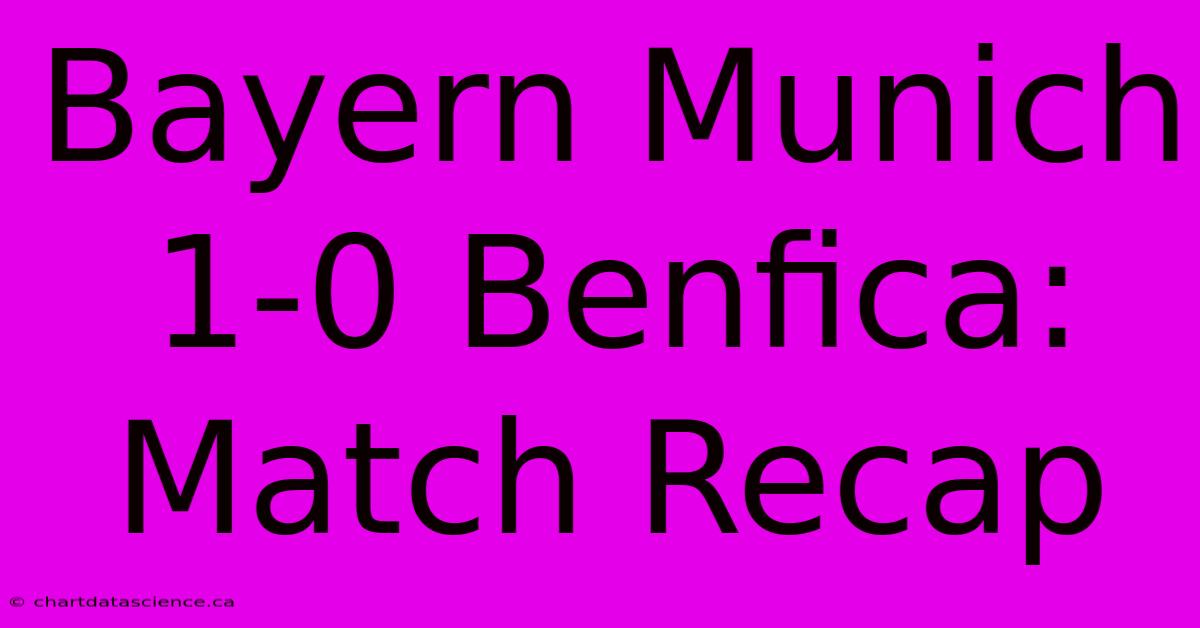 Bayern Munich 1-0 Benfica: Match Recap