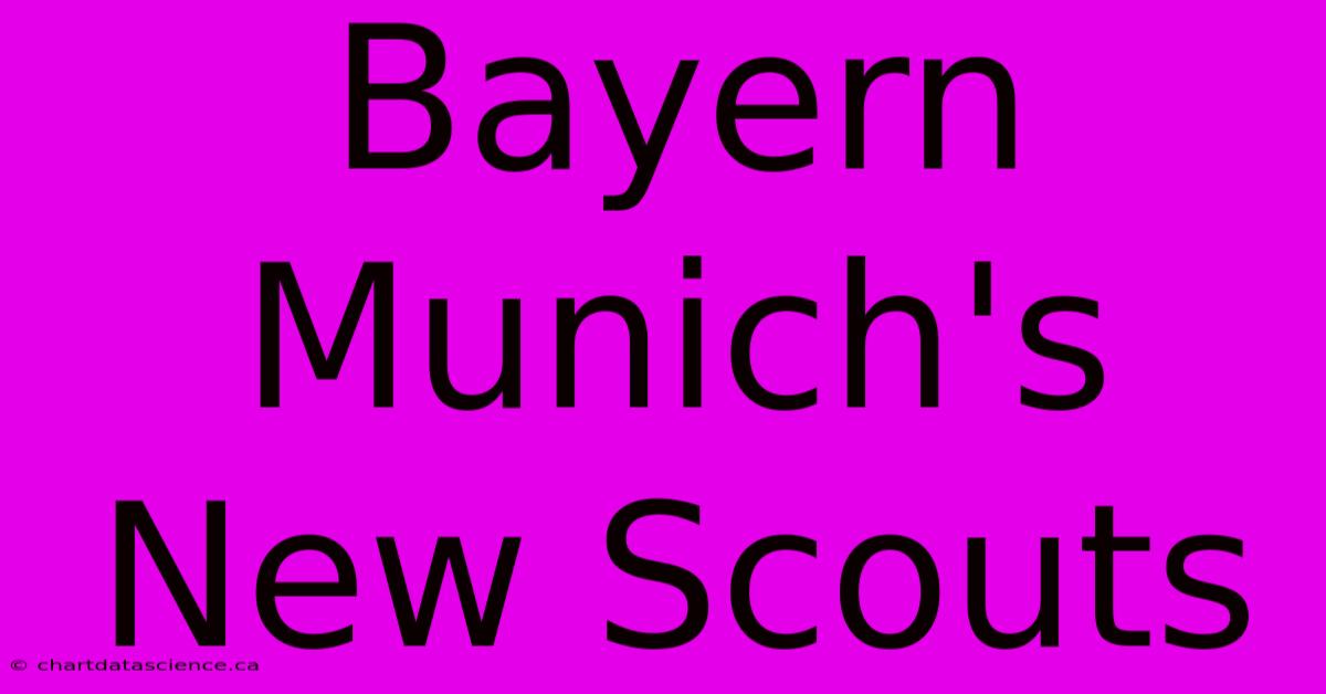 Bayern Munich's New Scouts