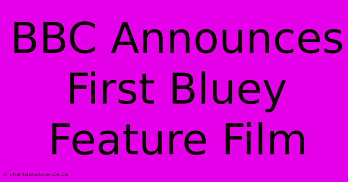 BBC Announces First Bluey Feature Film