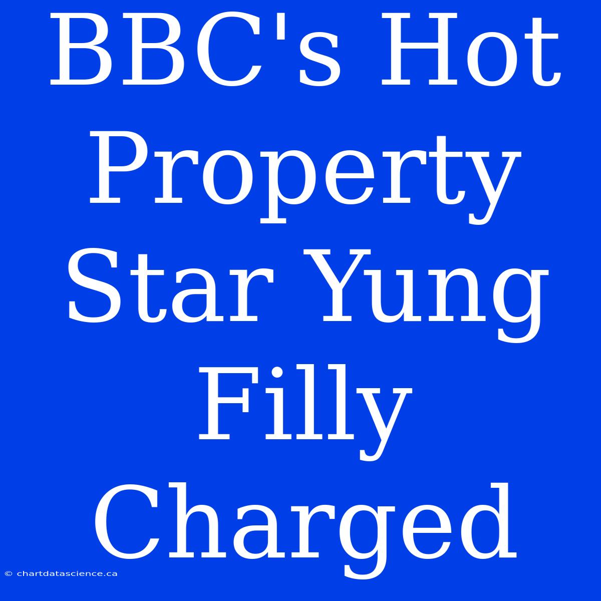 BBC's Hot Property Star Yung Filly Charged