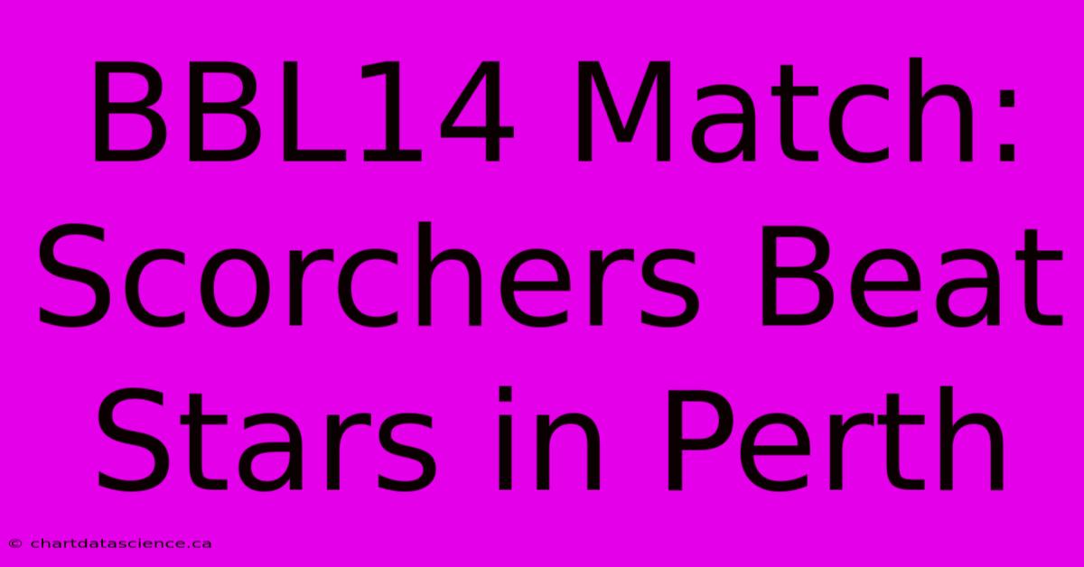 BBL14 Match: Scorchers Beat Stars In Perth