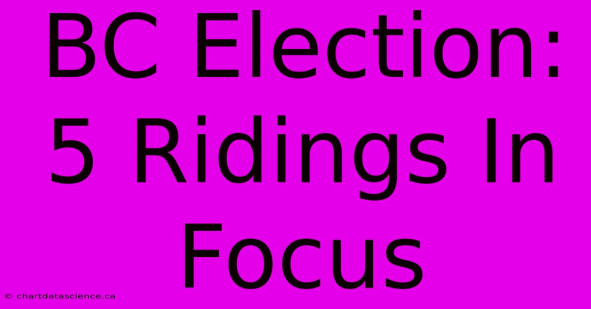 BC Election: 5 Ridings In Focus