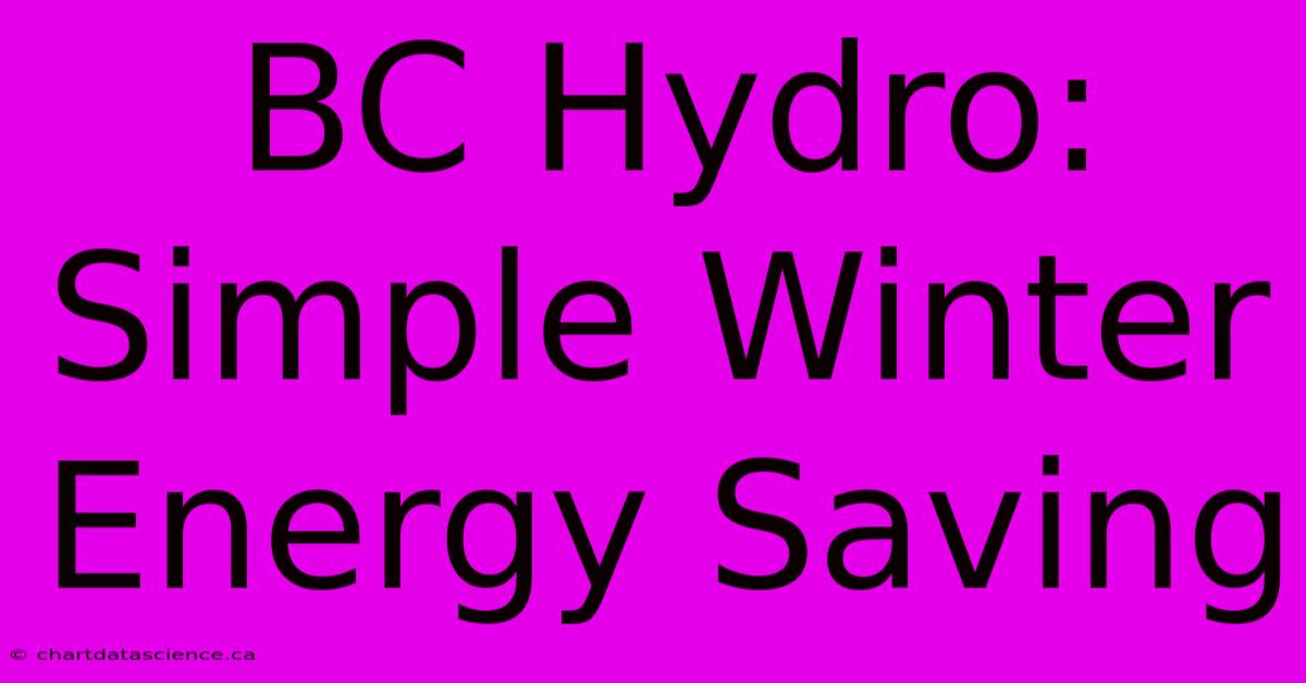 BC Hydro: Simple Winter Energy Saving