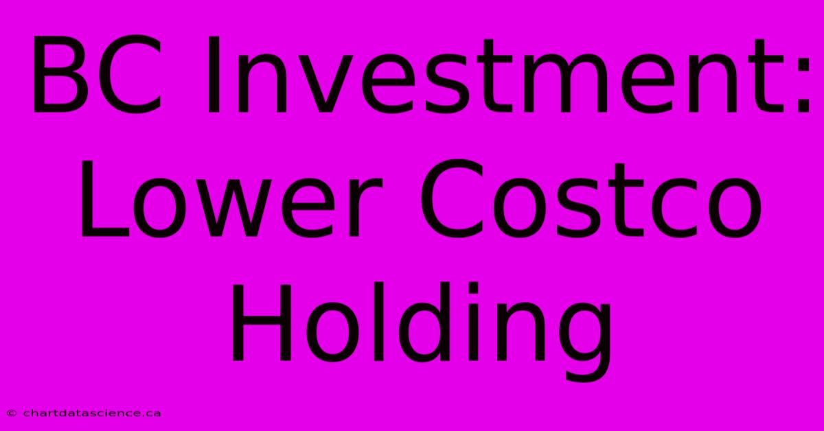 BC Investment: Lower Costco Holding