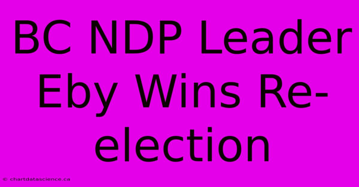 BC NDP Leader Eby Wins Re-election