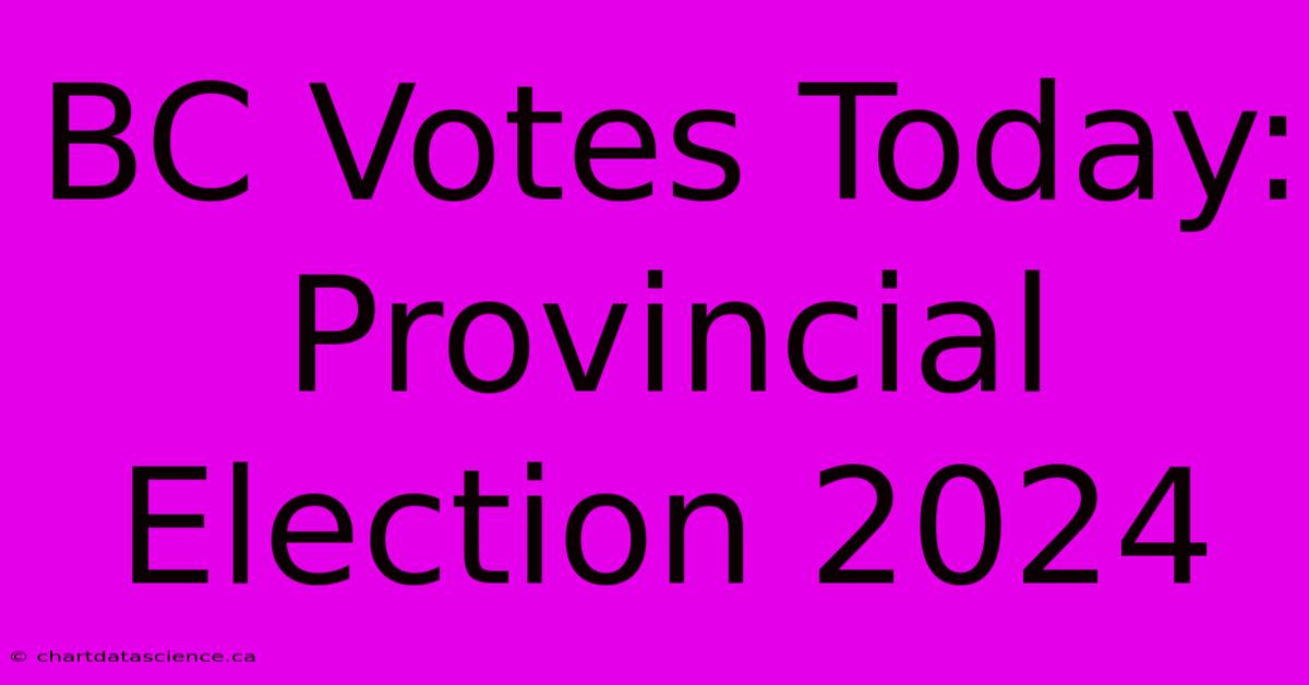 BC Votes Today: Provincial Election 2024