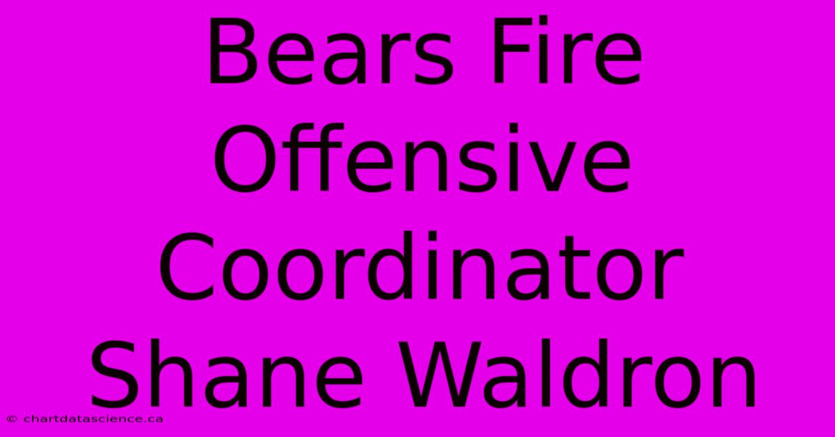 Bears Fire Offensive Coordinator Shane Waldron