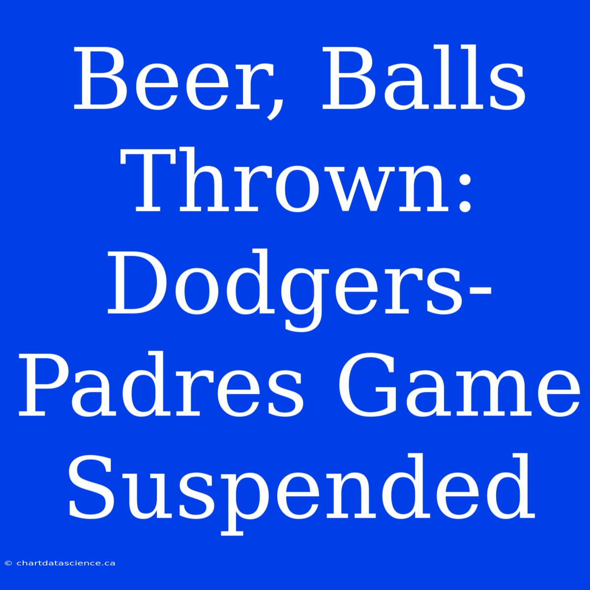 Beer, Balls Thrown: Dodgers-Padres Game Suspended