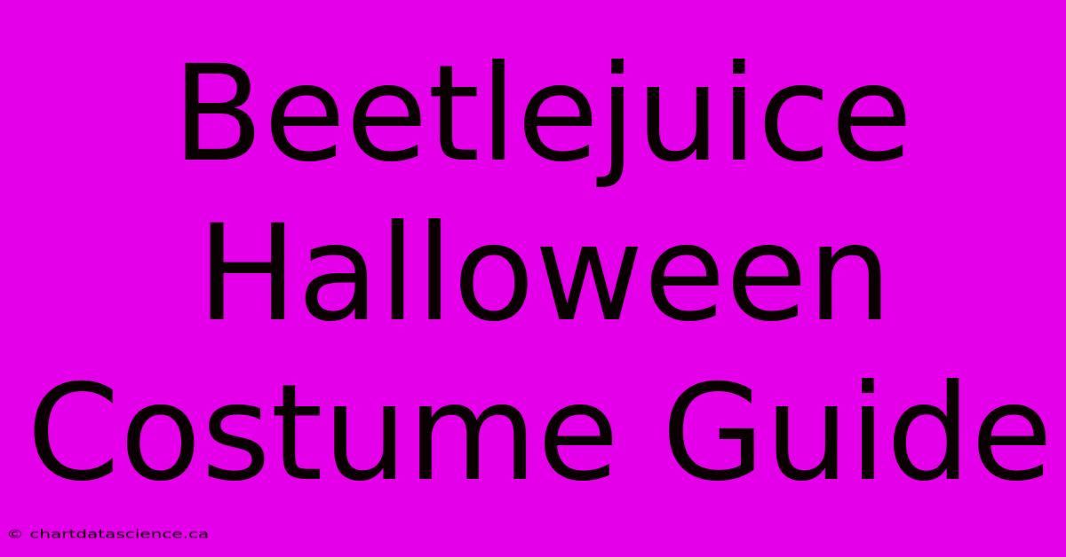 Beetlejuice Halloween Costume Guide