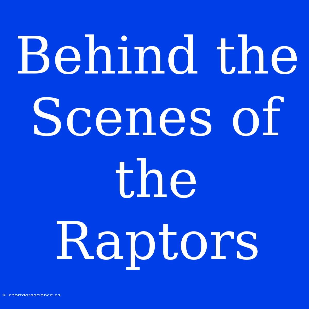 Behind The Scenes Of The Raptors