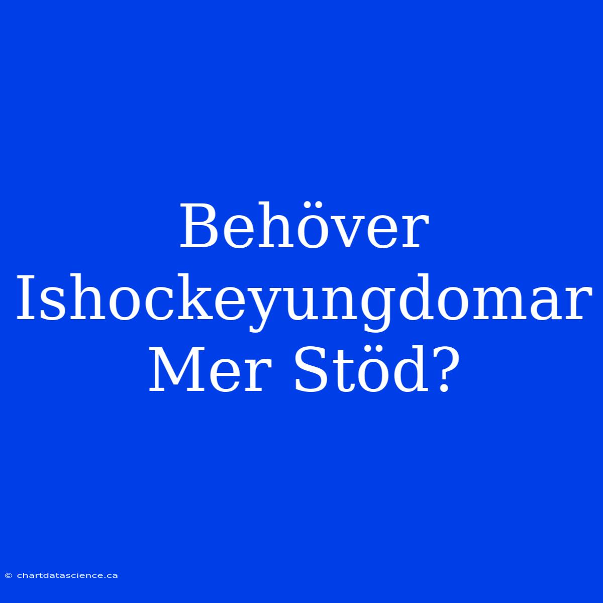 Behöver Ishockeyungdomar Mer Stöd?