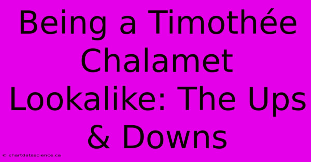 Being A Timothée Chalamet Lookalike: The Ups & Downs 