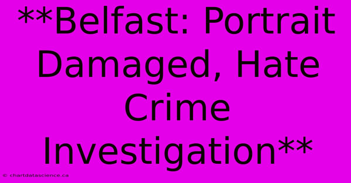 **Belfast: Portrait Damaged, Hate Crime Investigation**