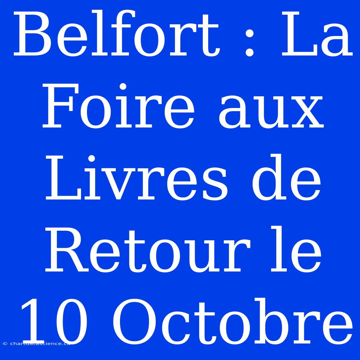 Belfort : La Foire Aux Livres De Retour Le 10 Octobre