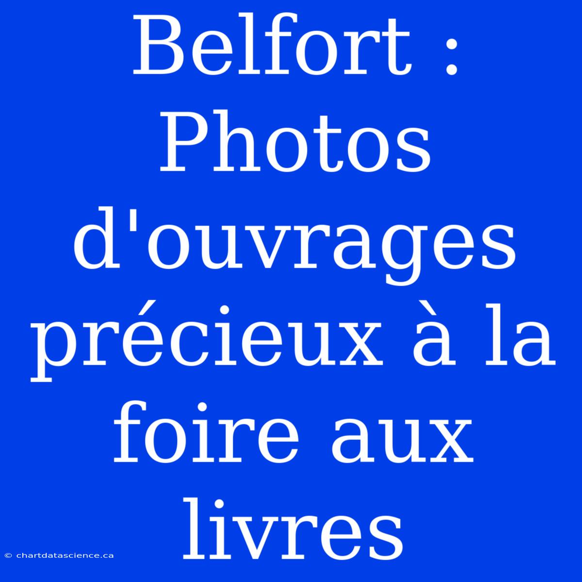 Belfort : Photos D'ouvrages Précieux À La Foire Aux Livres