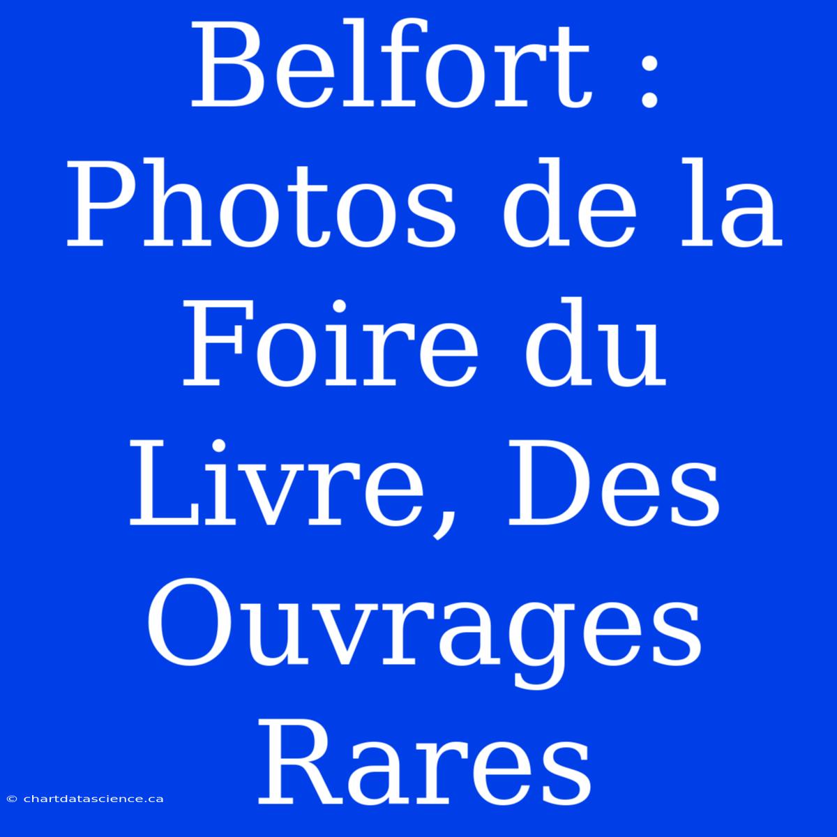 Belfort : Photos De La Foire Du Livre, Des Ouvrages Rares