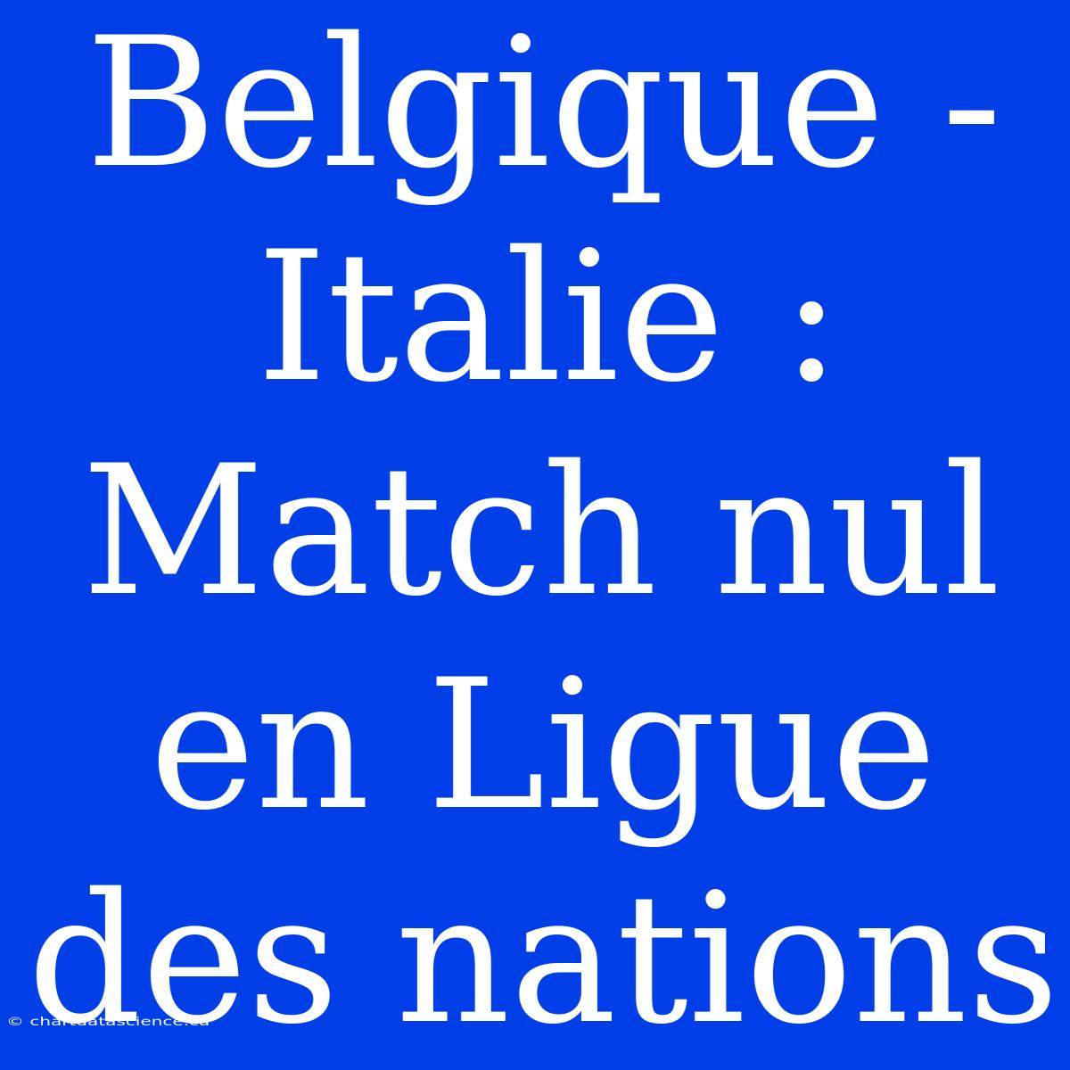 Belgique - Italie : Match Nul En Ligue Des Nations