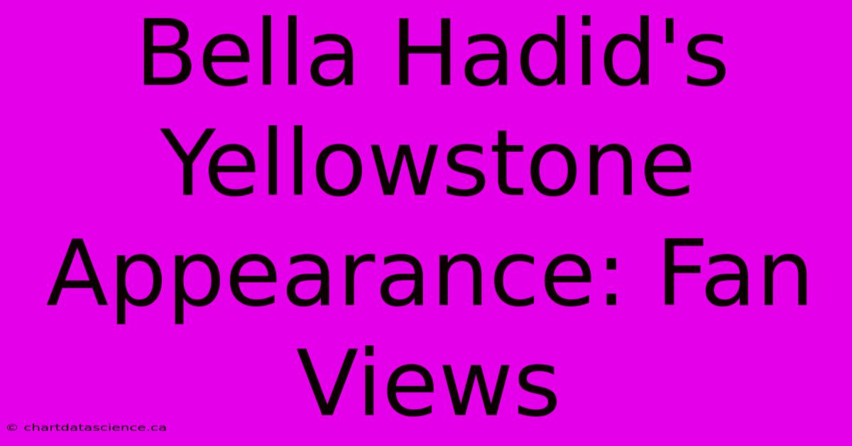 Bella Hadid's Yellowstone Appearance: Fan Views