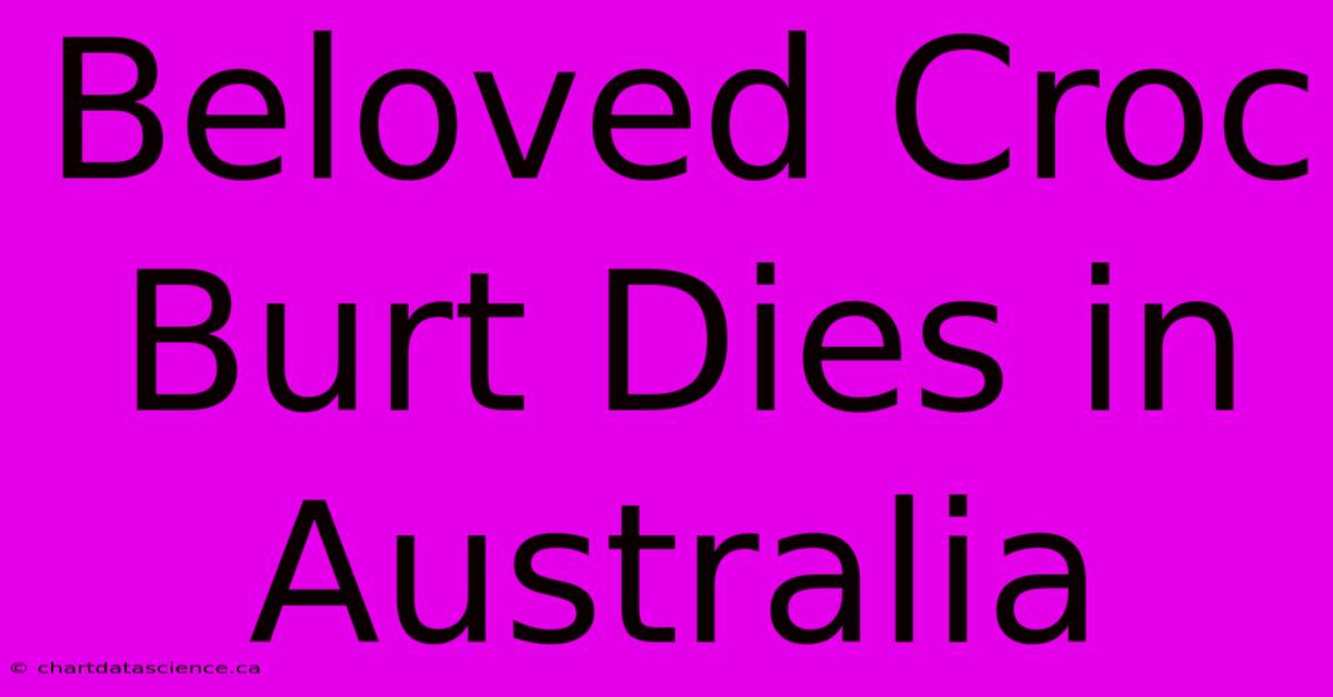 Beloved Croc Burt Dies In Australia