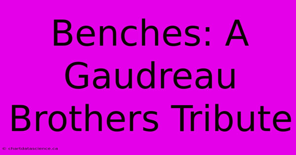 Benches: A Gaudreau Brothers Tribute