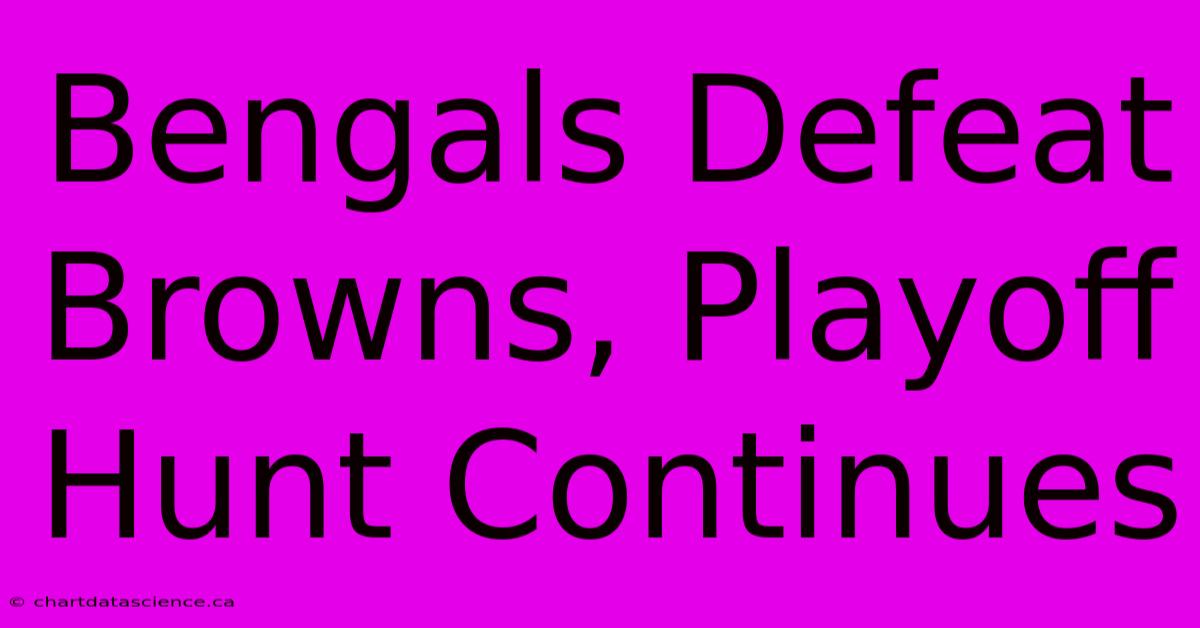 Bengals Defeat Browns, Playoff Hunt Continues