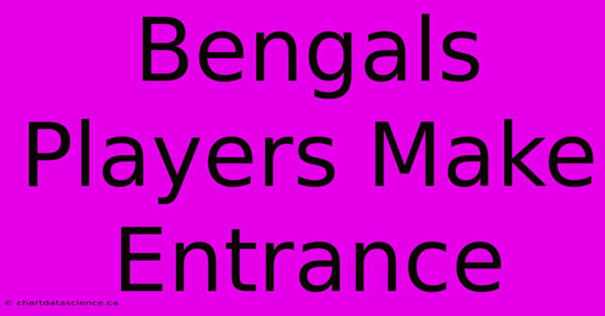 Bengals Players Make Entrance