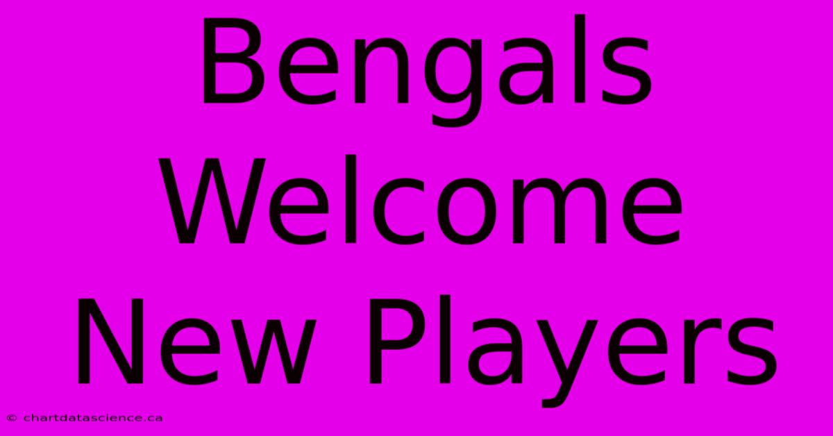 Bengals Welcome New Players