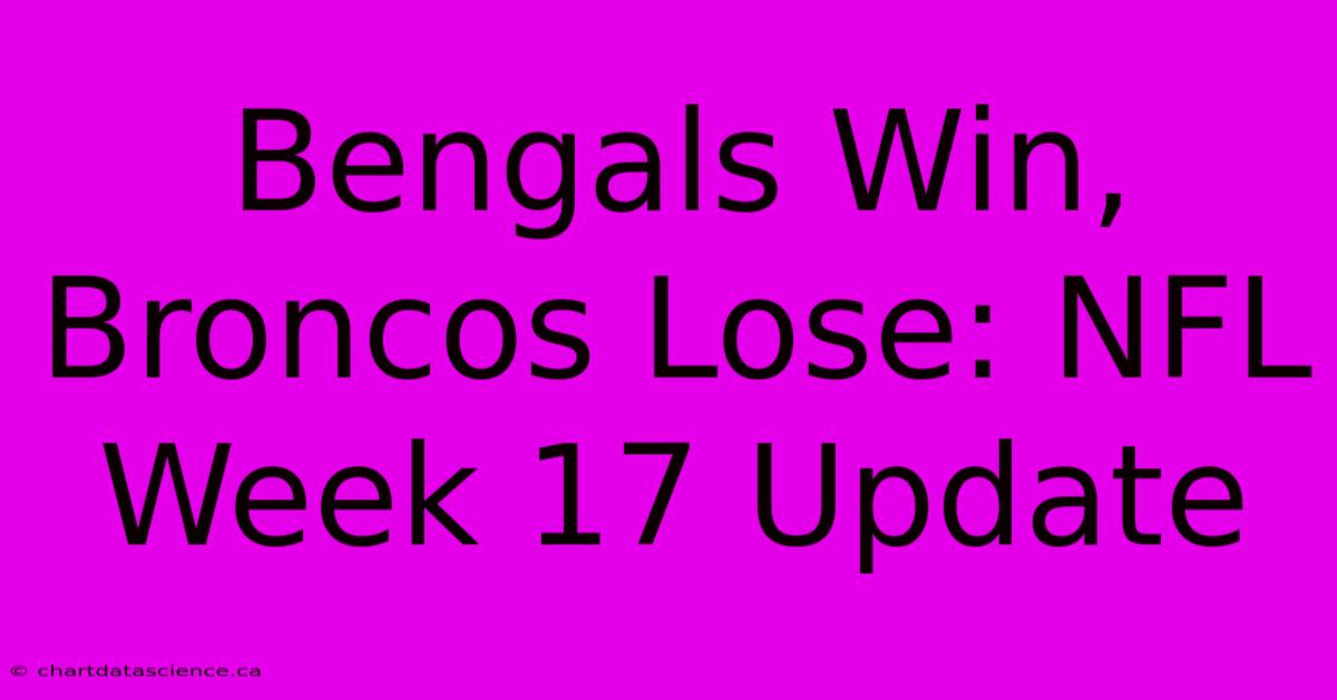 Bengals Win, Broncos Lose: NFL Week 17 Update