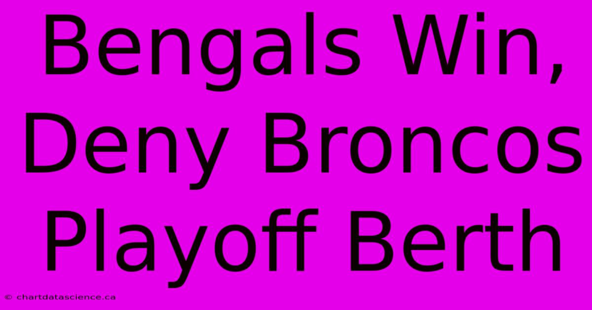 Bengals Win, Deny Broncos Playoff Berth