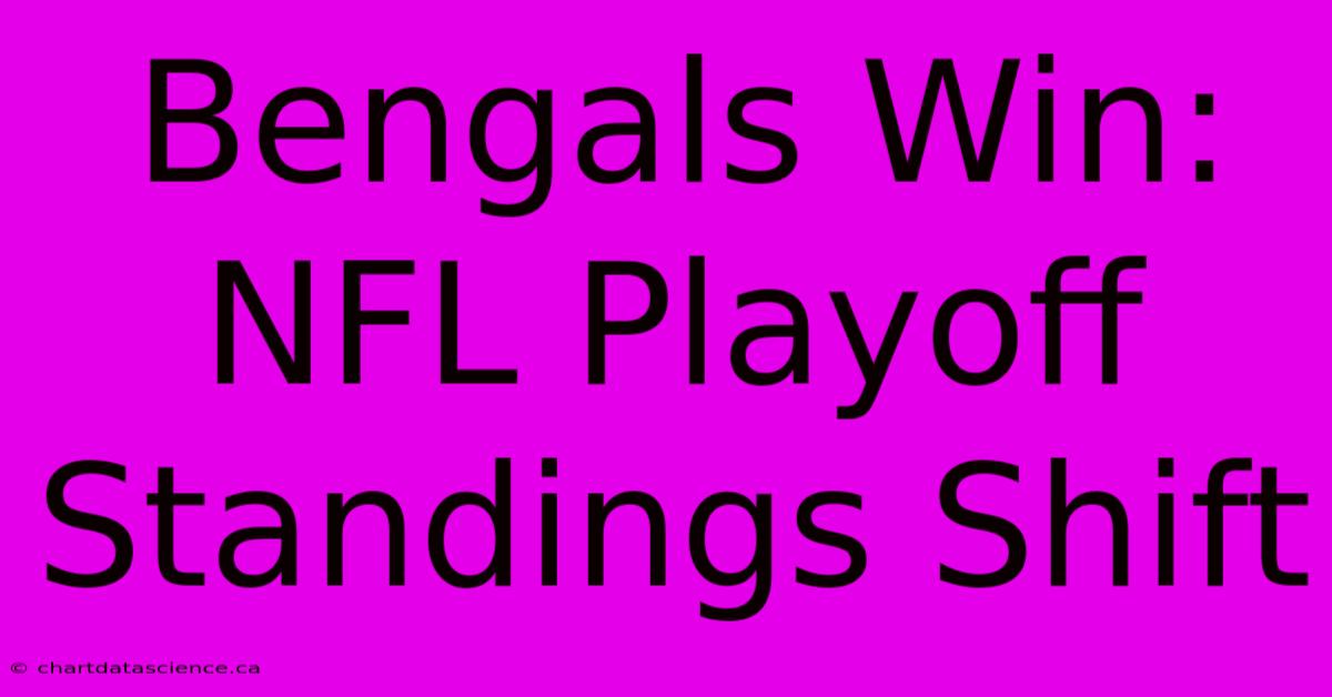 Bengals Win: NFL Playoff Standings Shift