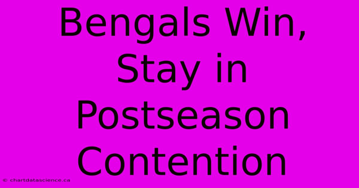 Bengals Win, Stay In Postseason Contention