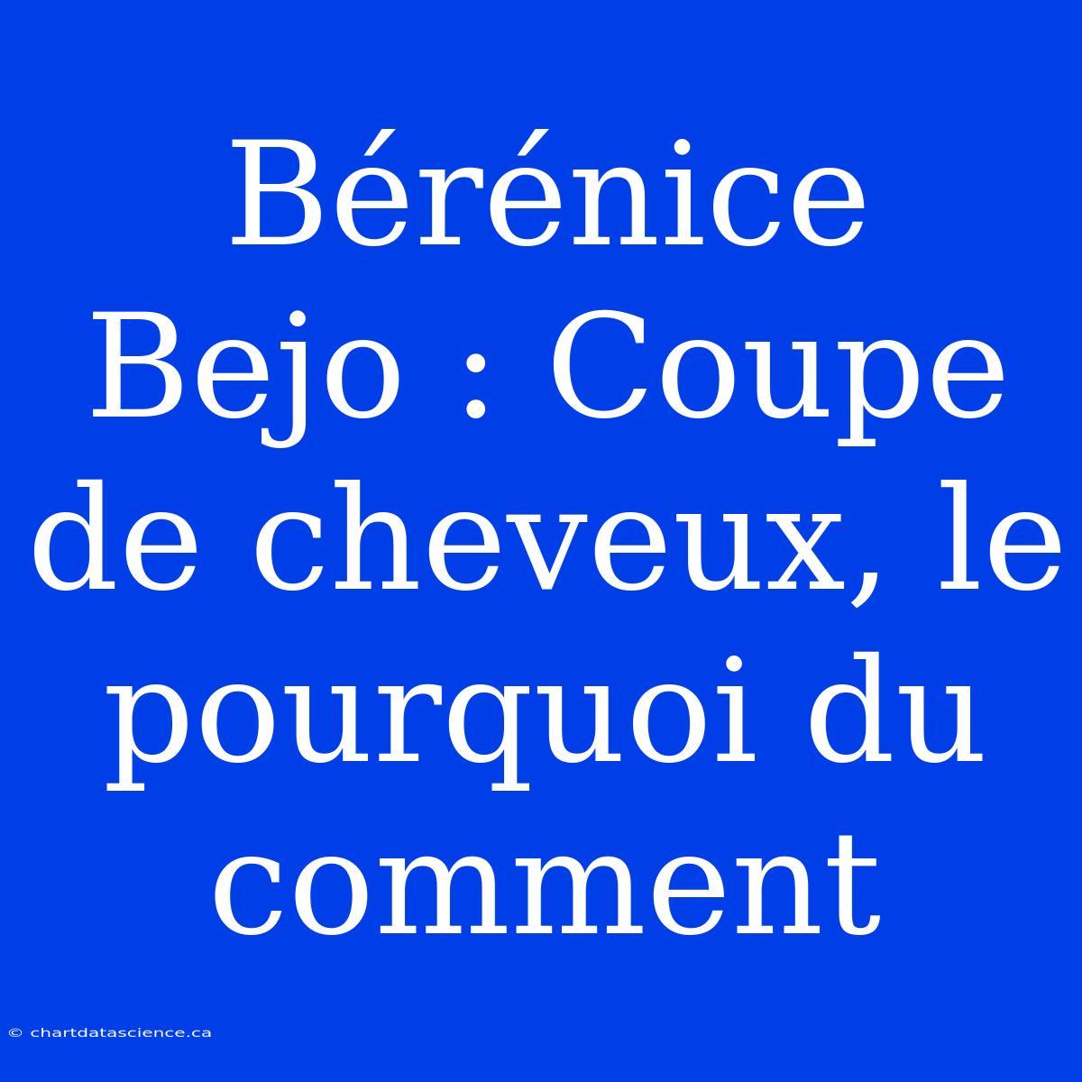 Bérénice Bejo : Coupe De Cheveux, Le Pourquoi Du Comment