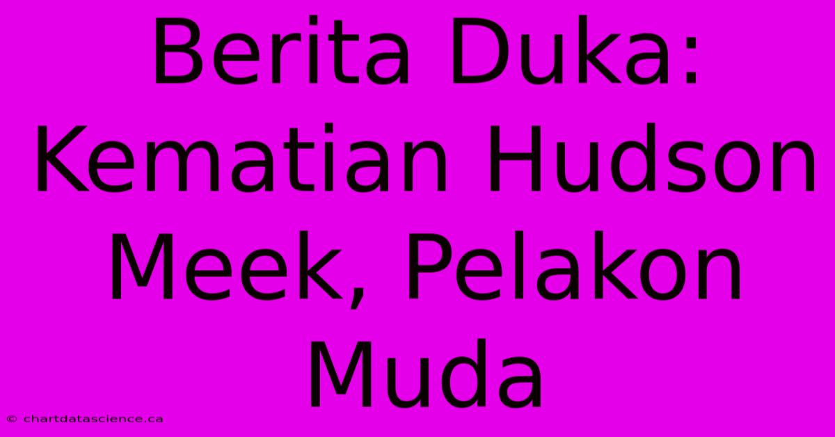 Berita Duka: Kematian Hudson Meek, Pelakon Muda