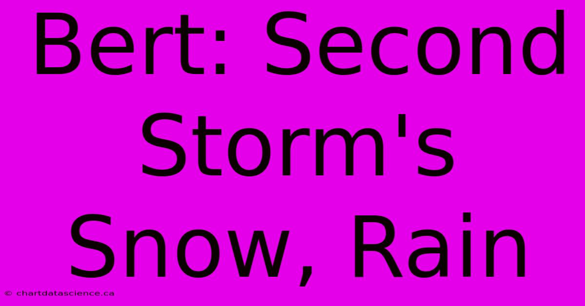 Bert: Second Storm's Snow, Rain