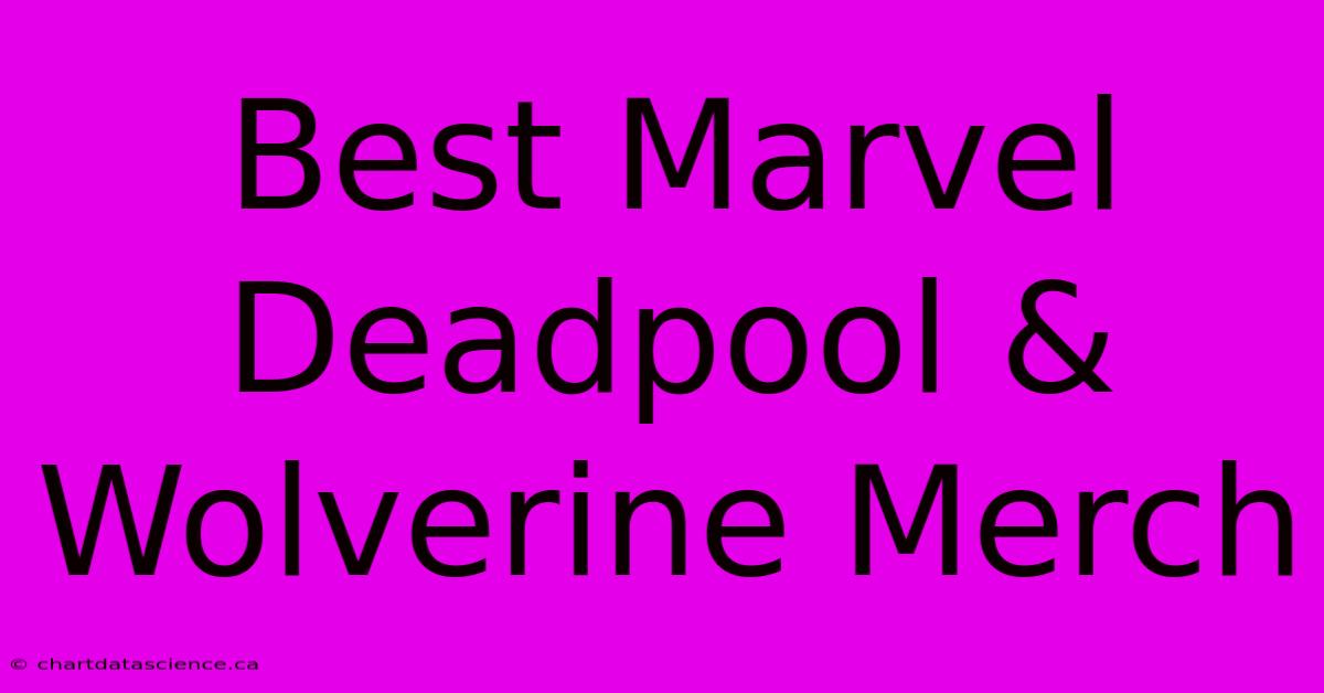 Best Marvel Deadpool & Wolverine Merch