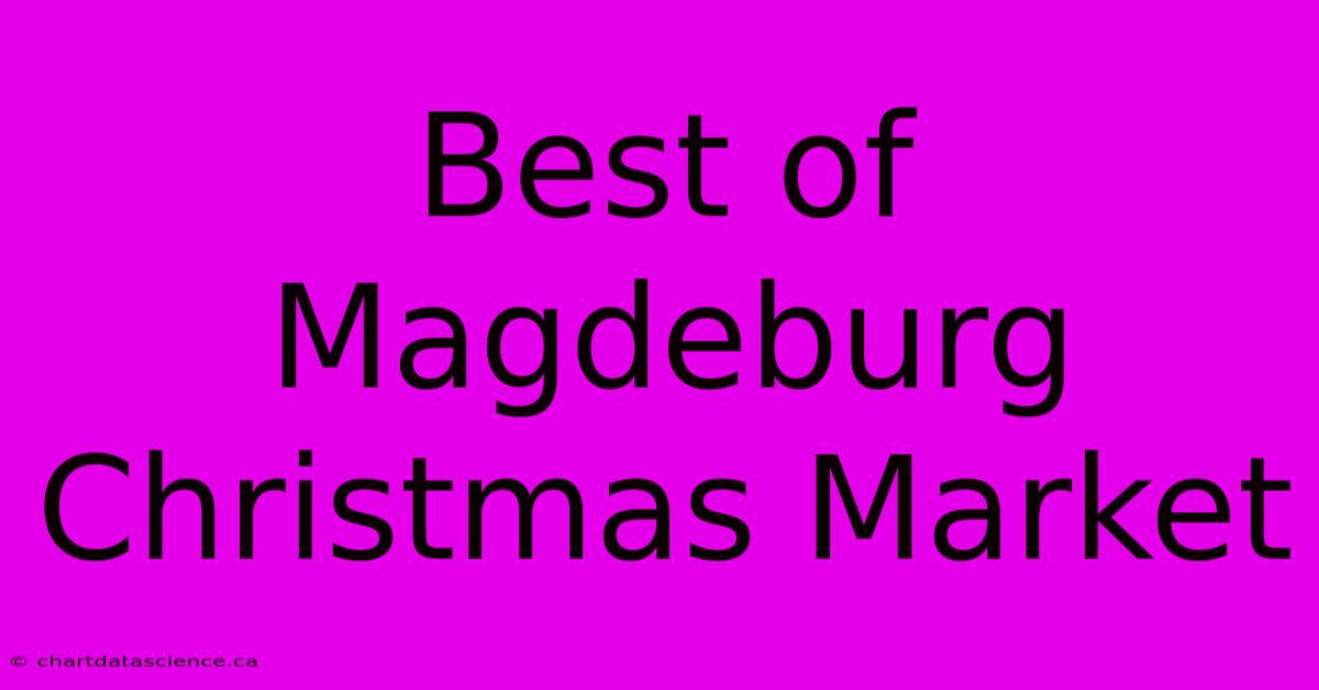 Best Of Magdeburg Christmas Market