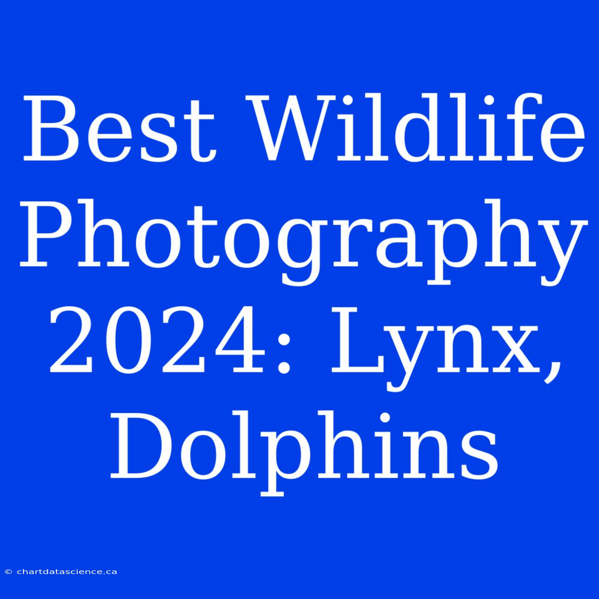 Best Wildlife Photography 2024: Lynx, Dolphins