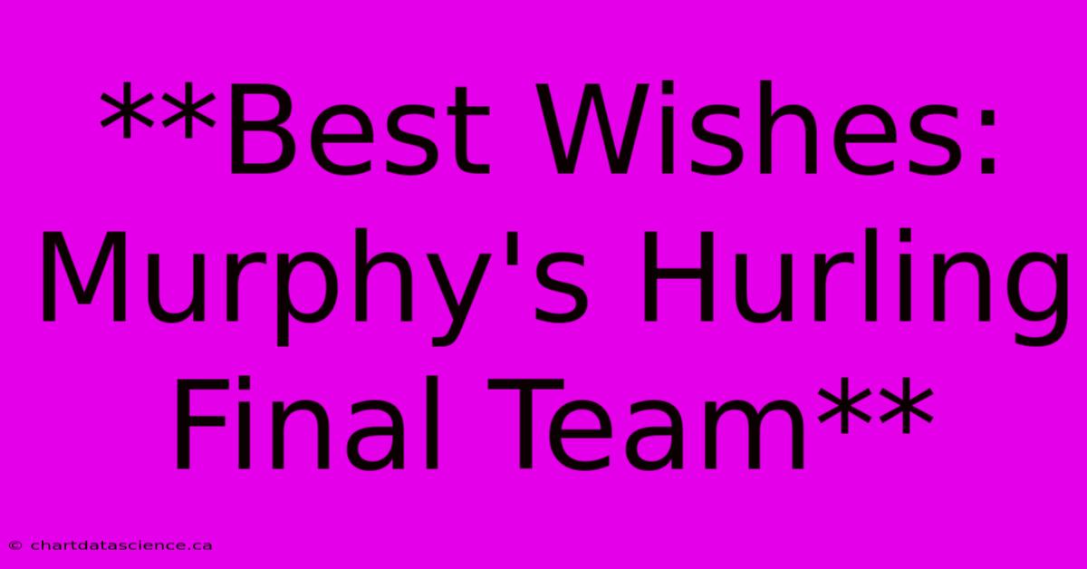 **Best Wishes: Murphy's Hurling Final Team**