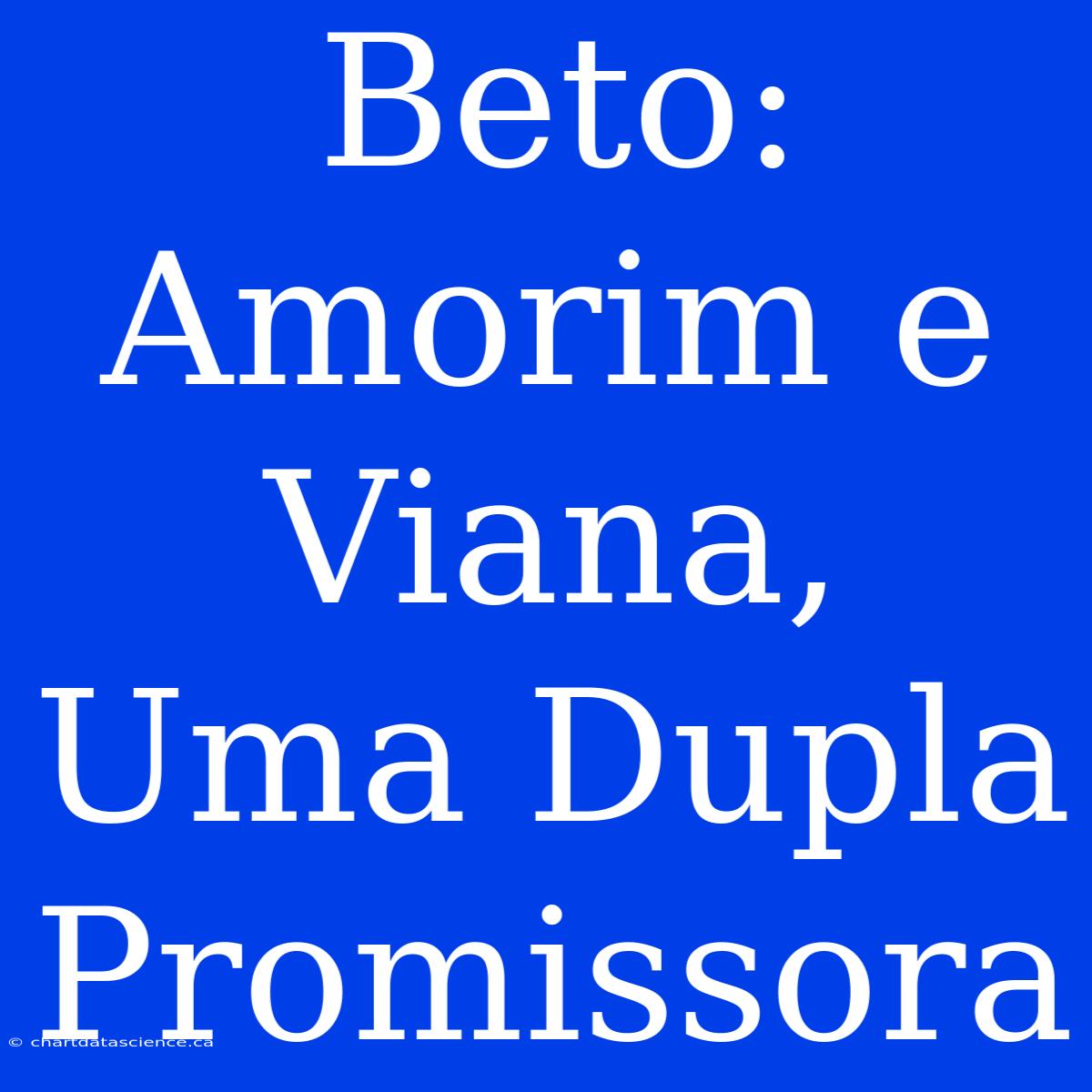 Beto: Amorim E Viana, Uma Dupla Promissora