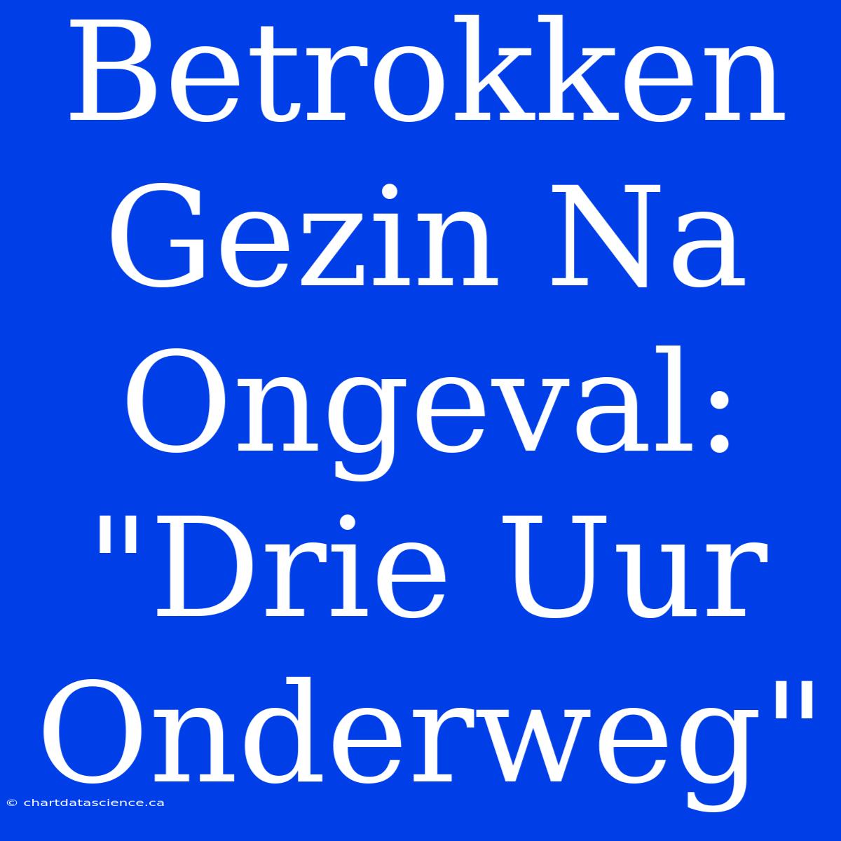 Betrokken Gezin Na Ongeval: 