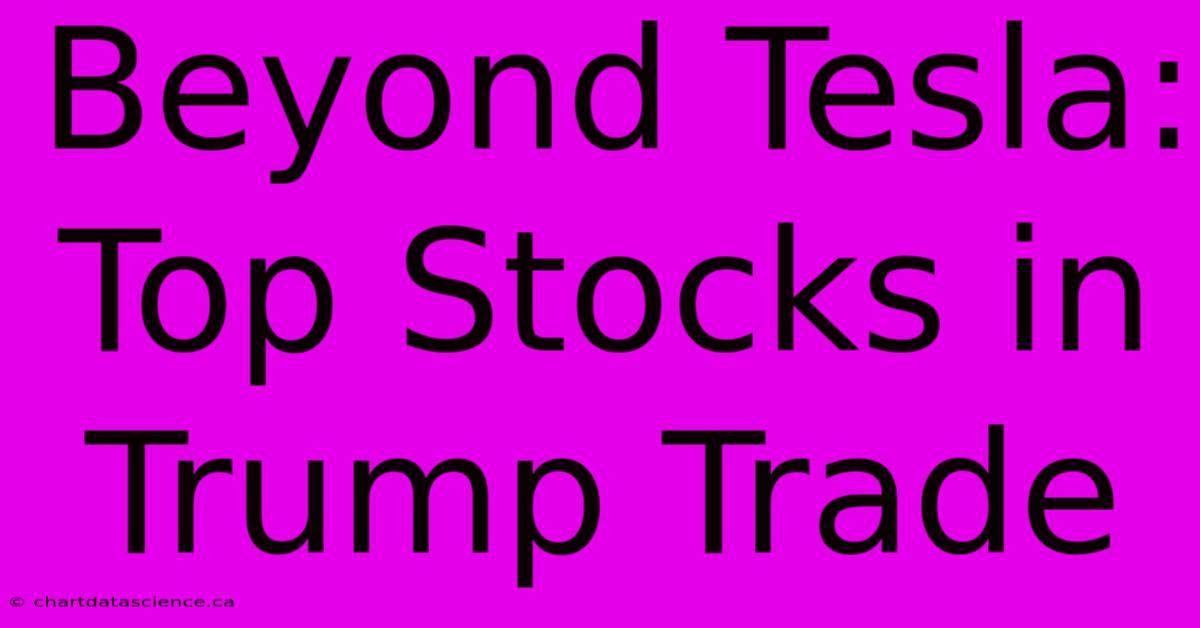 Beyond Tesla: Top Stocks In Trump Trade